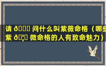 请 💐 问什么叫紫薇命格（哪些紫 🦊 微命格的人有致命魅力）